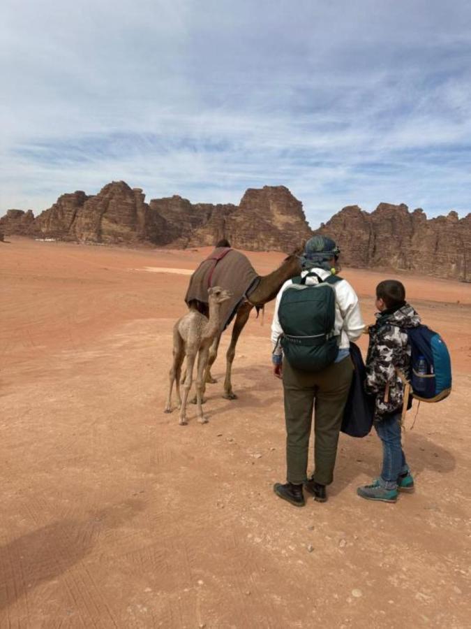 Calm Camp Acomodação com café da manhã Wadi Rum Exterior foto